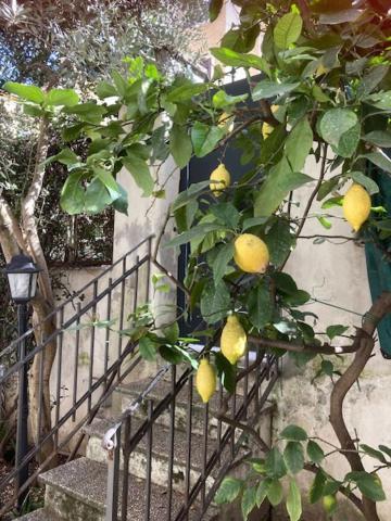 Appartamento Casa Priscilla *